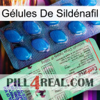 Gélules De Sildénafil new02